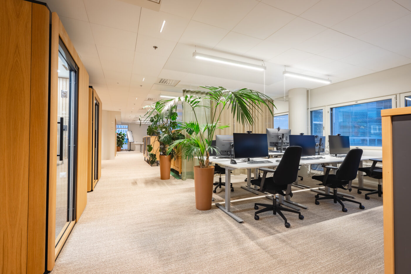 Octacell 2X2 workrooms next to open-plan workstations at Academic Work